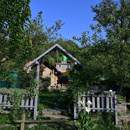 Himalayan Mud Resort Kasol Exterior photo